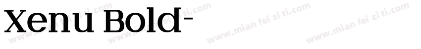 Xenu Bold字体转换